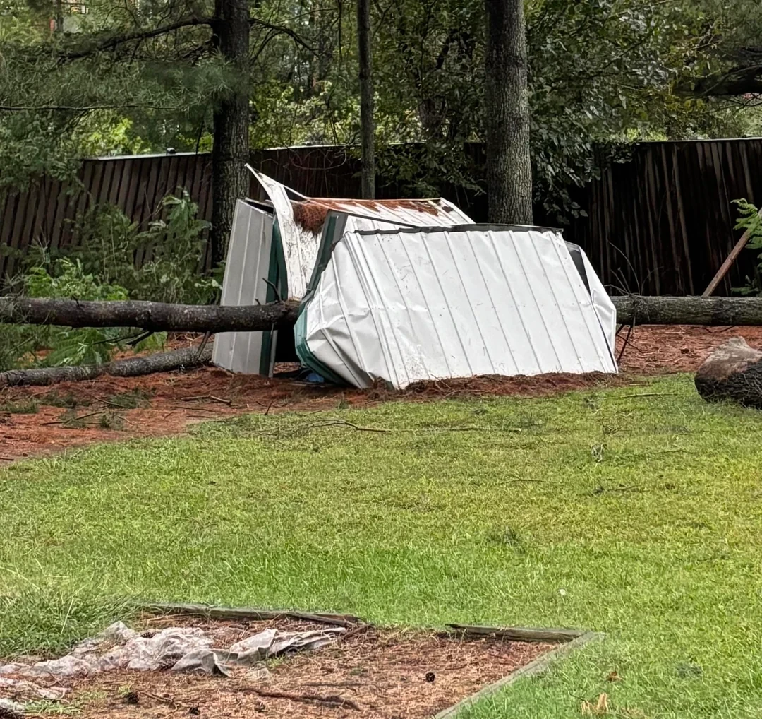 Shed Removal service