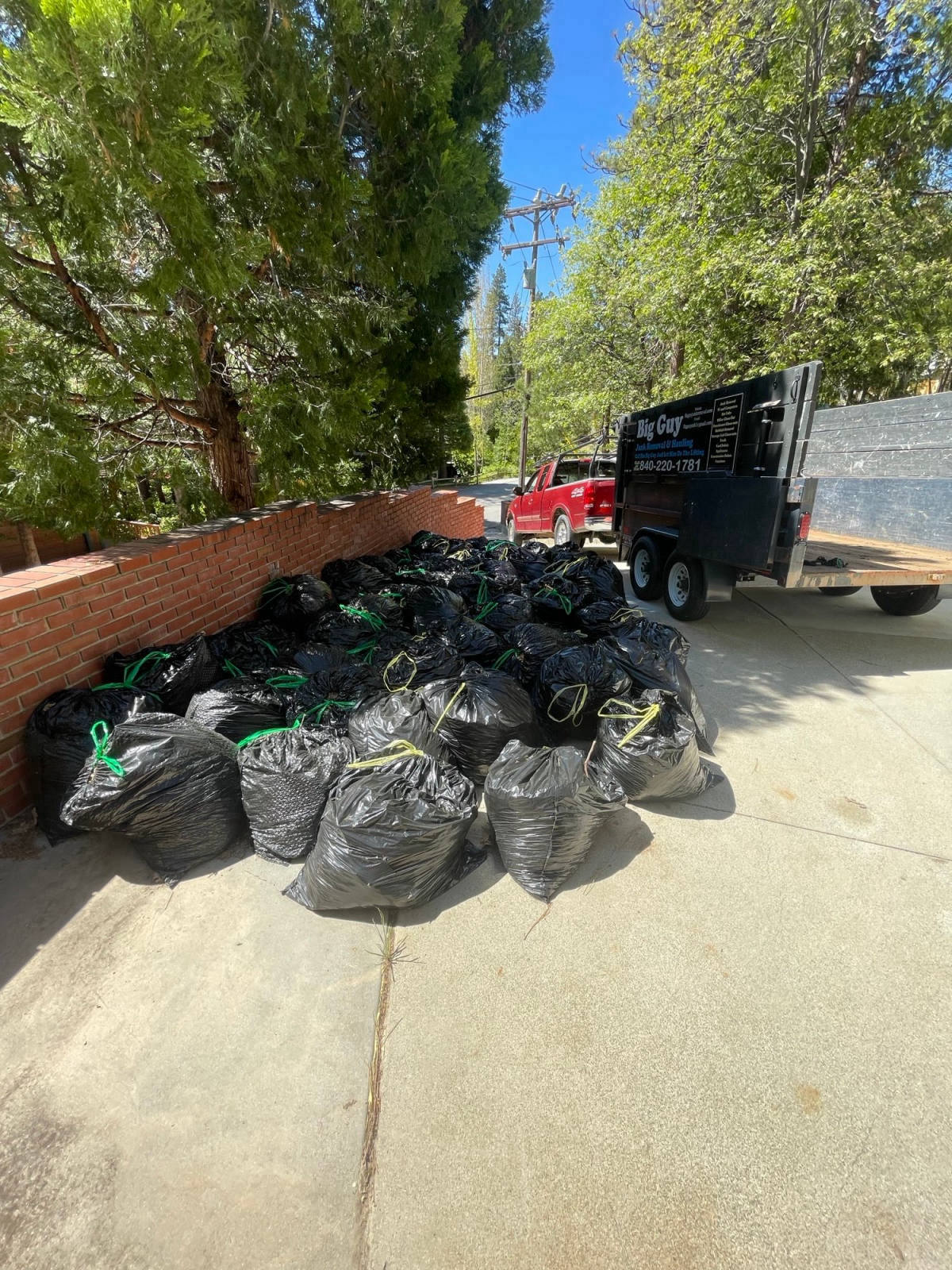 Yard Waste Removal service